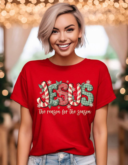 Jesus is the reason T-Shirt